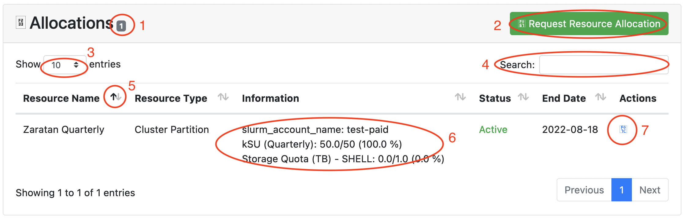 Screenshot of Allocations section of Project Detail page