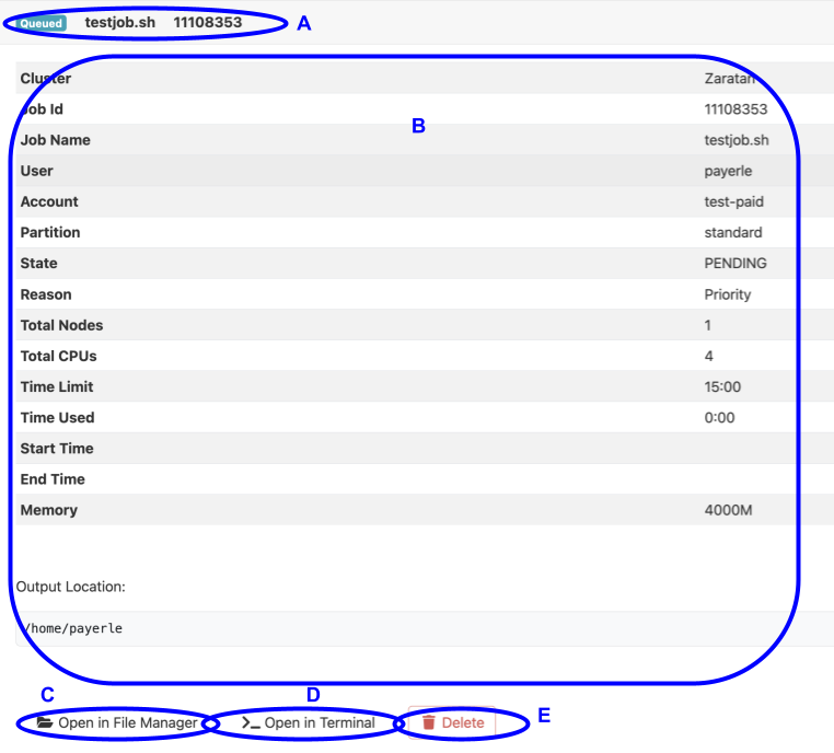 Various sections of the Active Job Detail screen